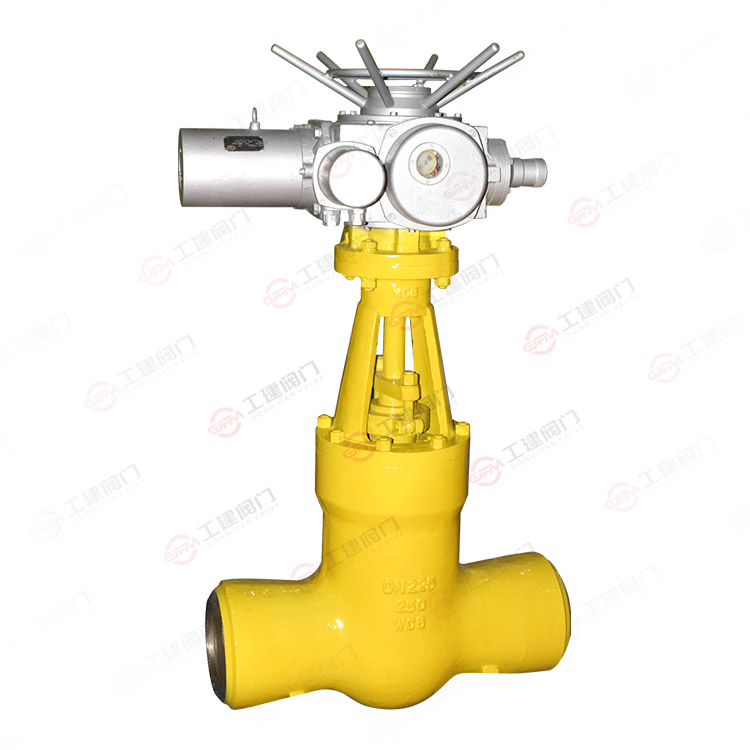 Power station gate valve