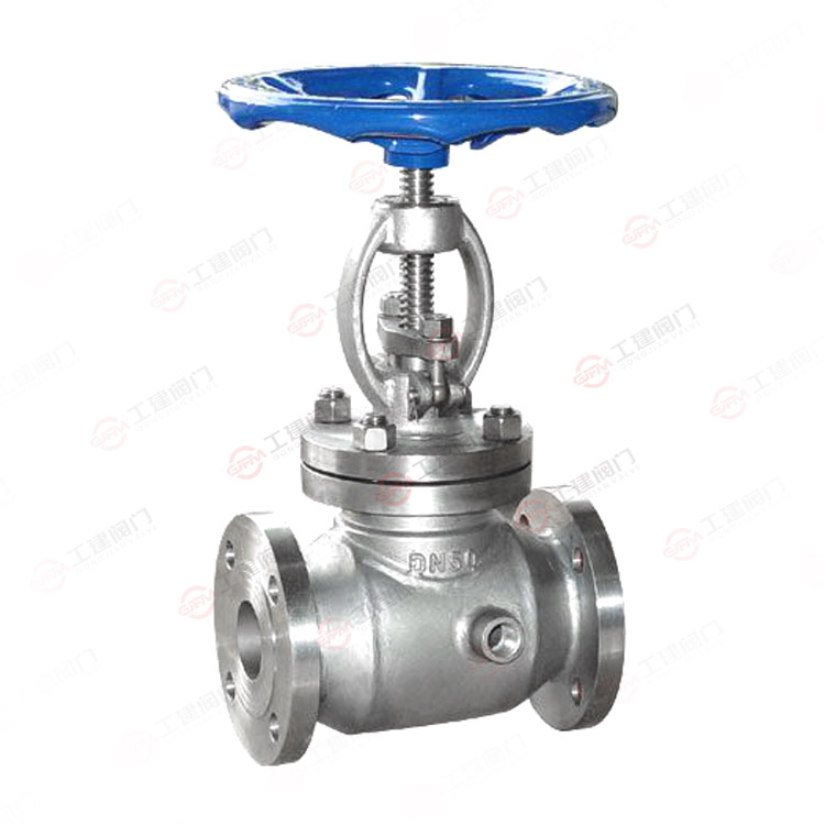 Insulated globe valve