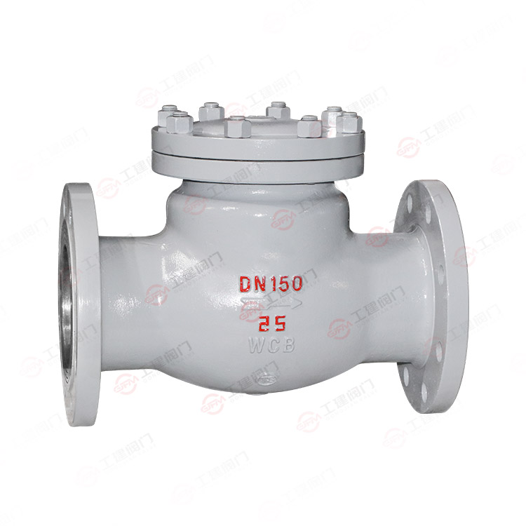 National standard check valve