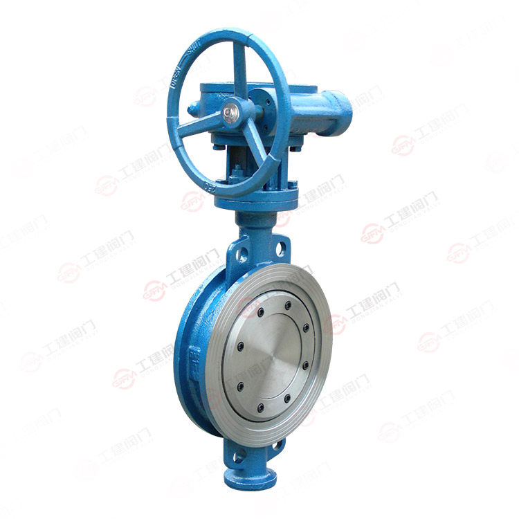 Hard sealed clamp butterfly valve