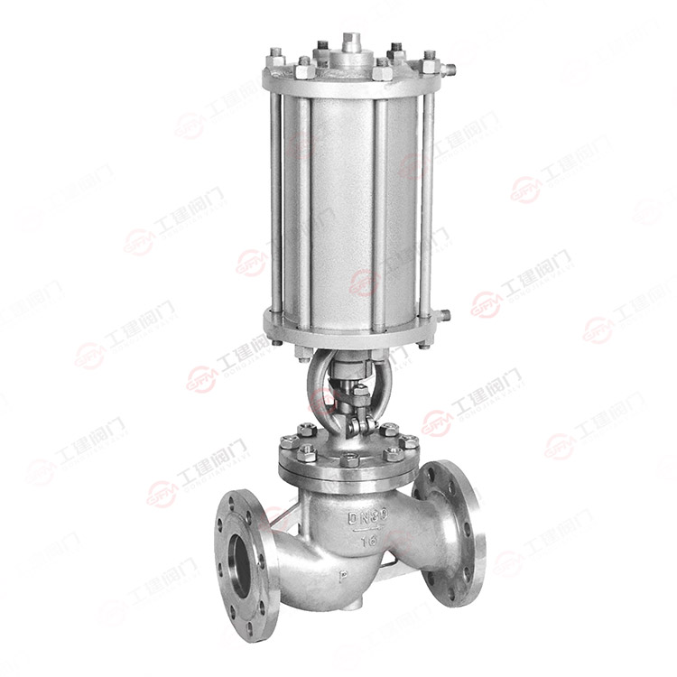 Pneumatic globe valve